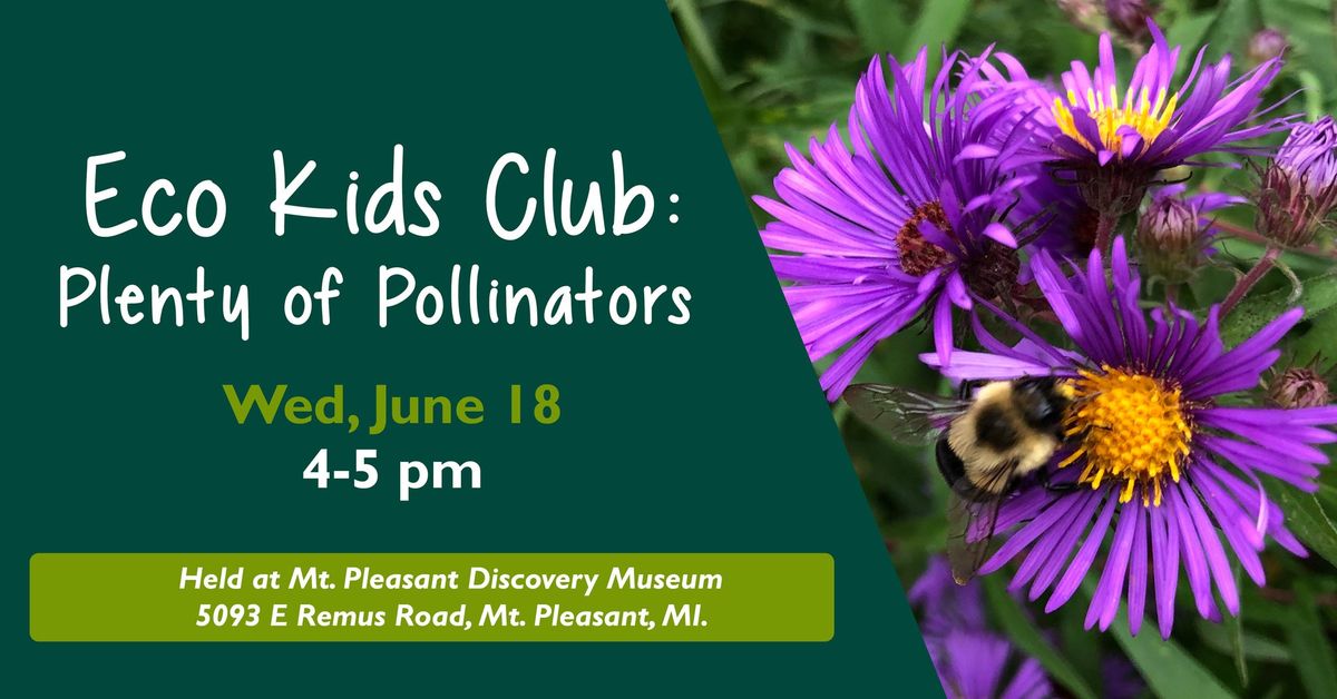 Eco Kids Club: Plenty of Pollinators