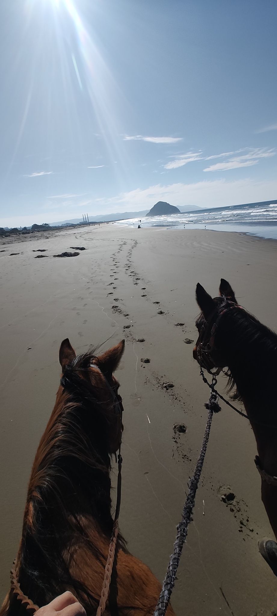 Morro Bay Beach rides!