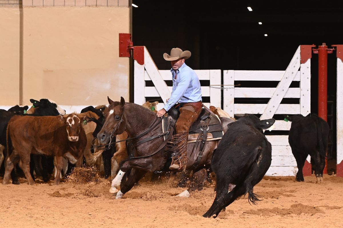 FWSSR NCHA Show