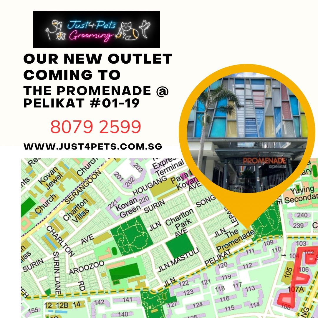 Just4Pets Grooming Opening Promotion