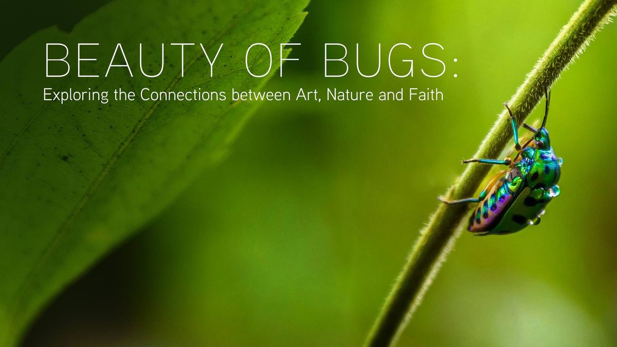 Beauty of Bugs: Connecting Art, Nature, and Faith through Insects