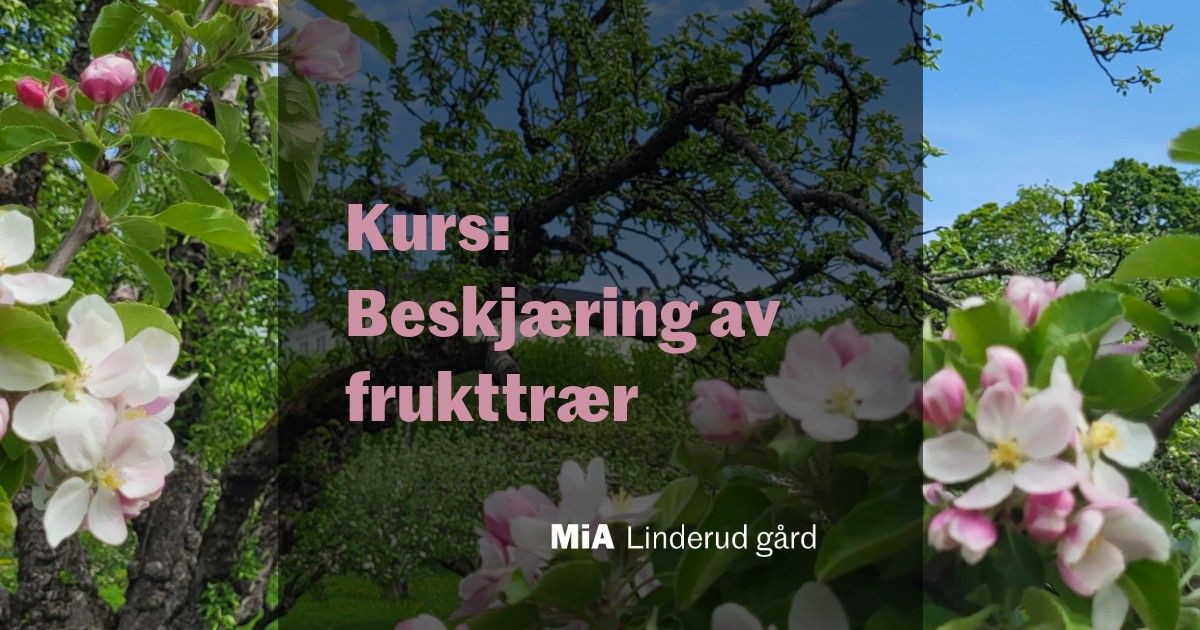 Kurs: Beskj\u00e6ring av frukttr\u00e6r