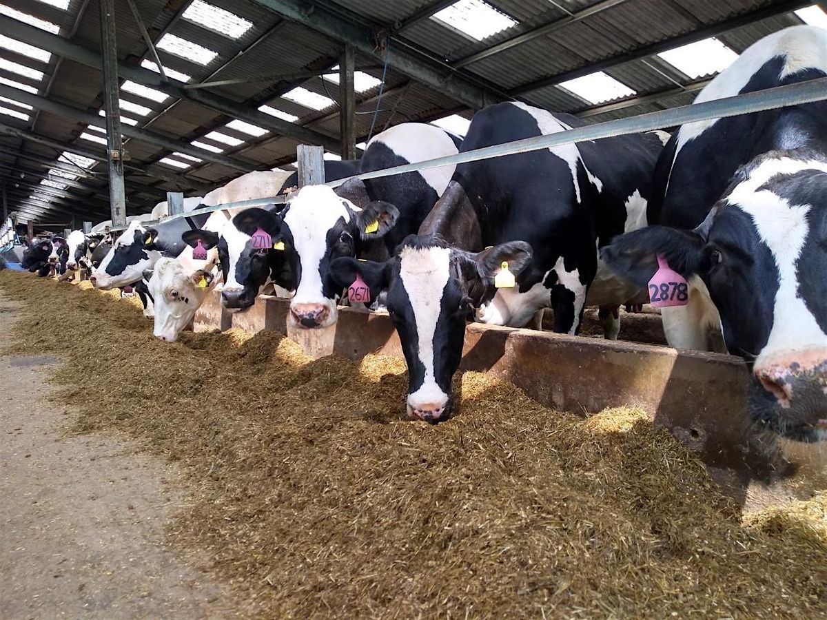 Dairy farming workshop