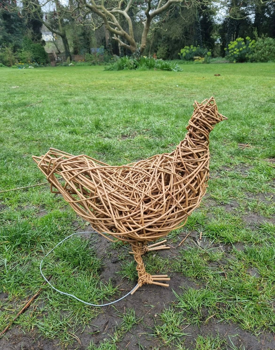 Willow Weaving Workshop - The Chicken 