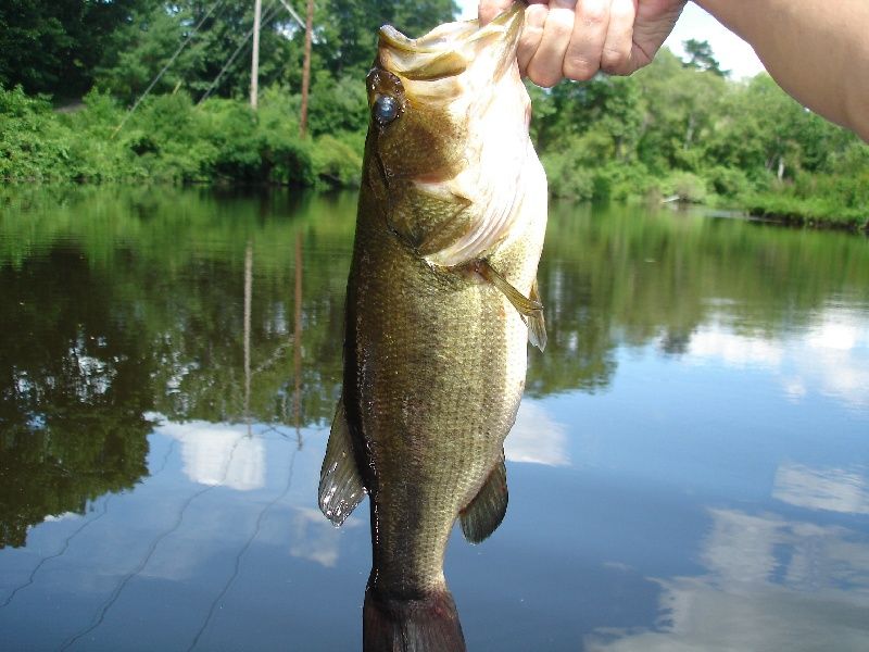 Hooked on Fishing: 50 Years Fishing in Waltham