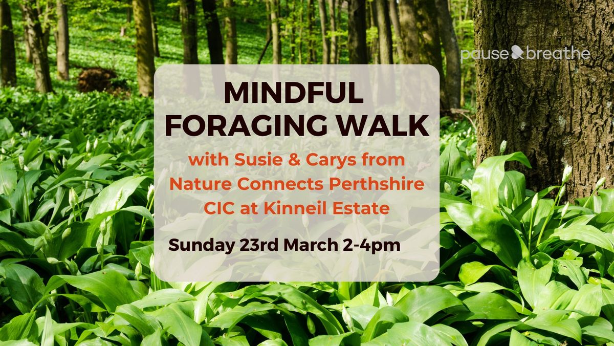 Mindfulness Foraging Walk: Kinneil Estate