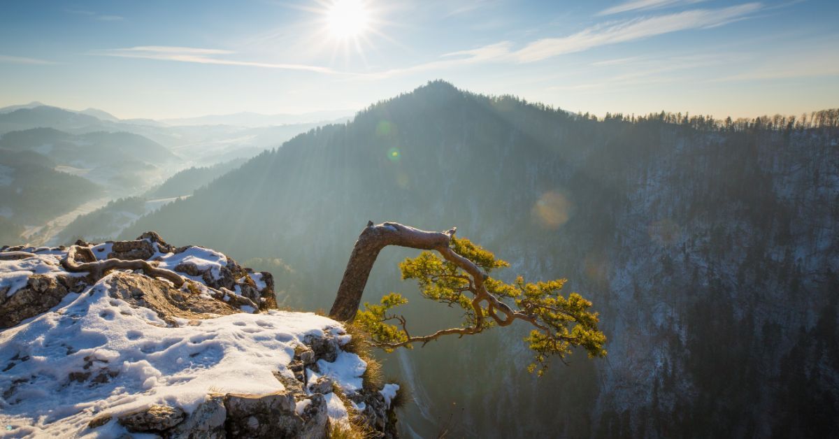 Pieniny i Gorce - zimowy trekking