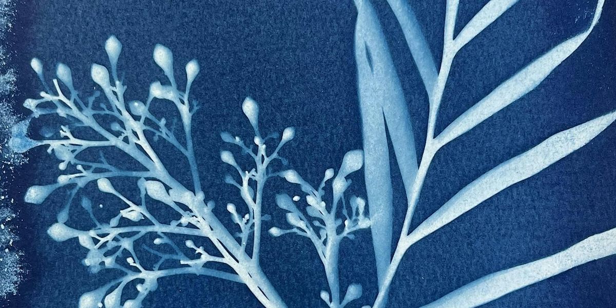 School holiday workshop - Blue Haze: Sun prints