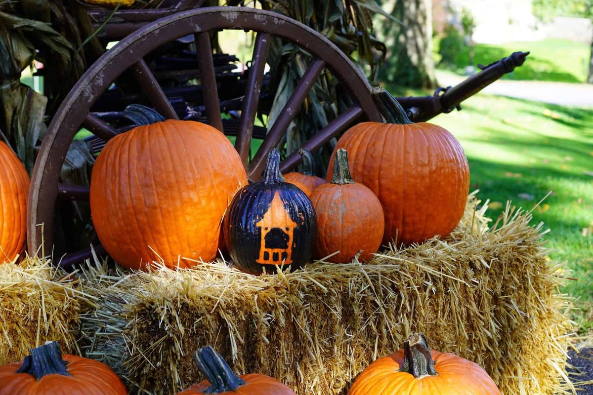 Halloween Haunts & Happenings