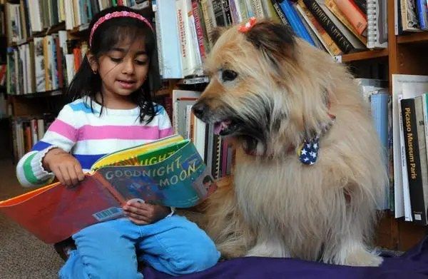 Read to Dogs at the Library 
