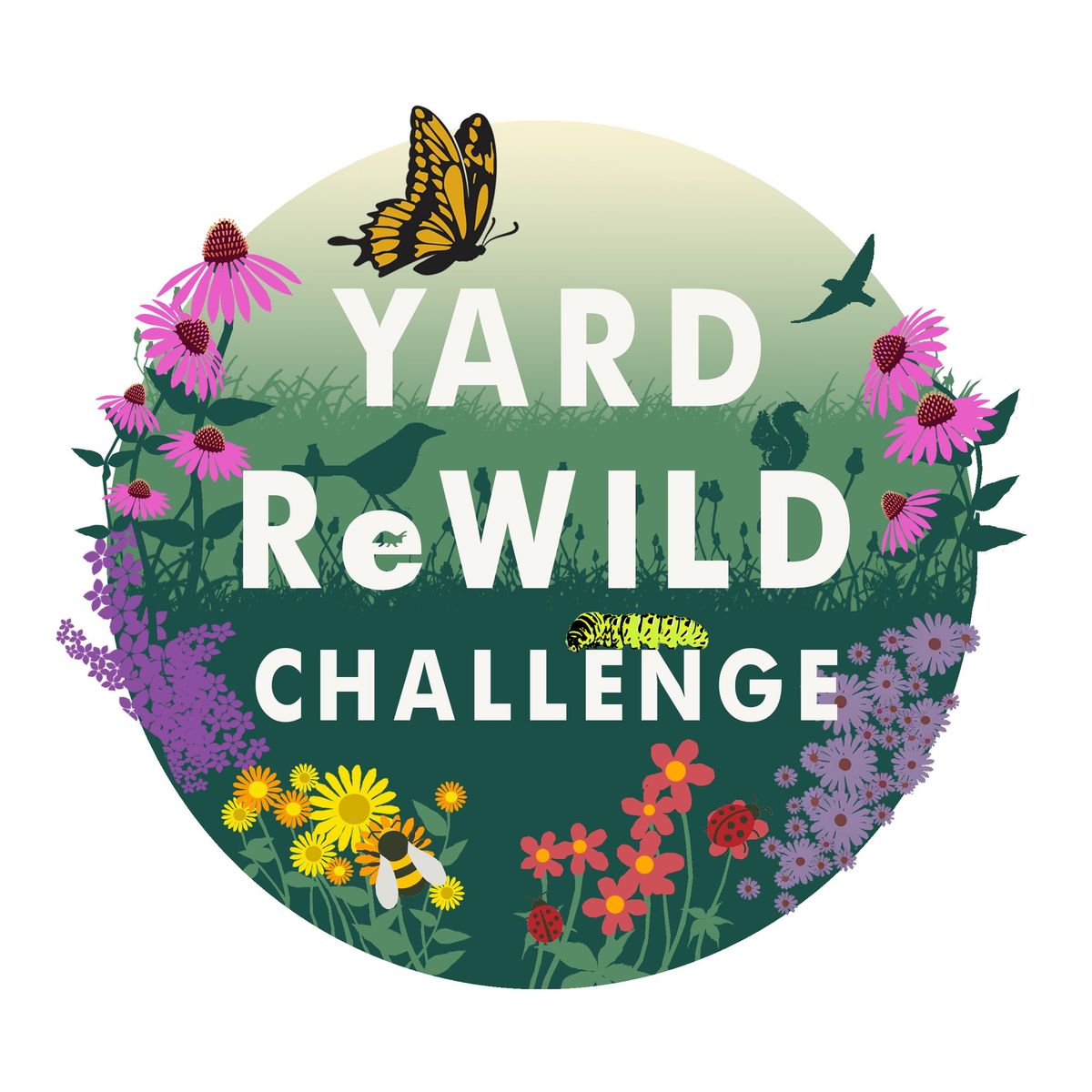 Yard ReWild Intro