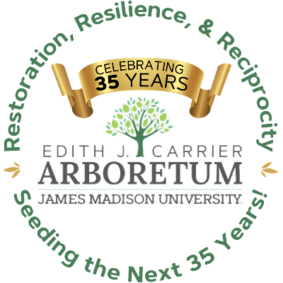 Edith J. Carrier Arboretum