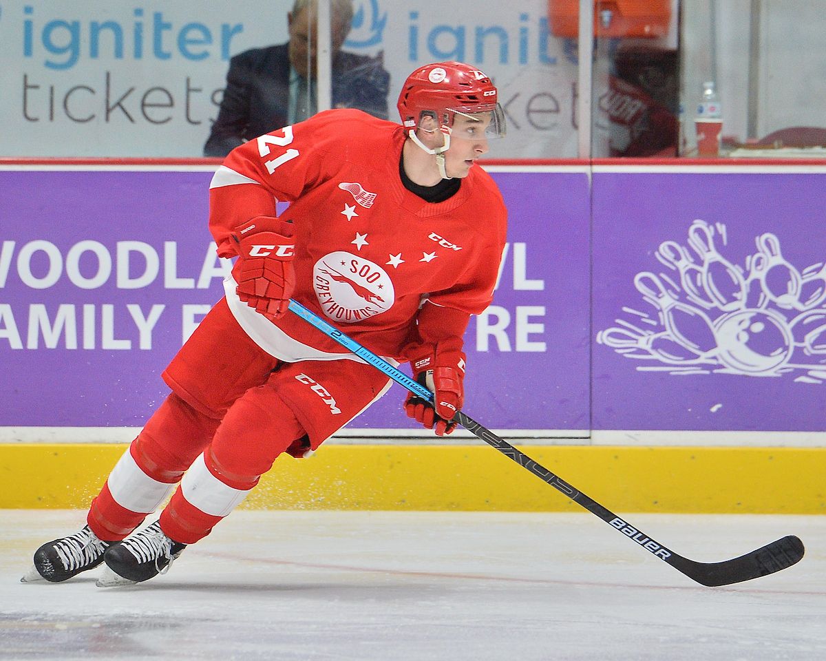 Sault Ste Marie - Soo Greyhounds at Guelph Storm at Sleeman Centre