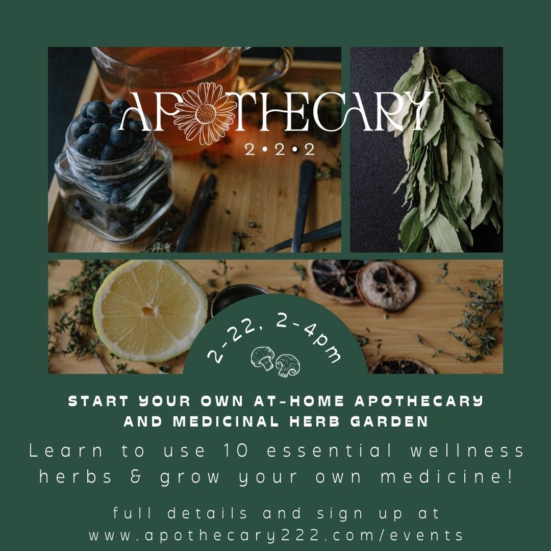 Start your own at-home apothecary and medicinal herb garden!