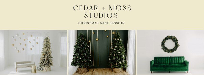 Studio Christmas Mini Sessions