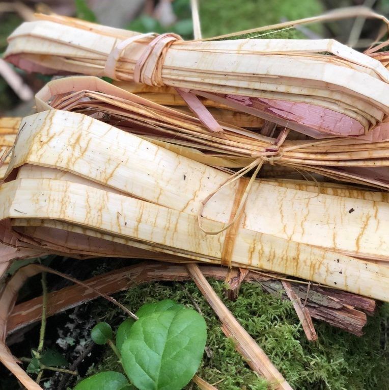 Art Workshop: Weave a Cedar Bark Bookmark