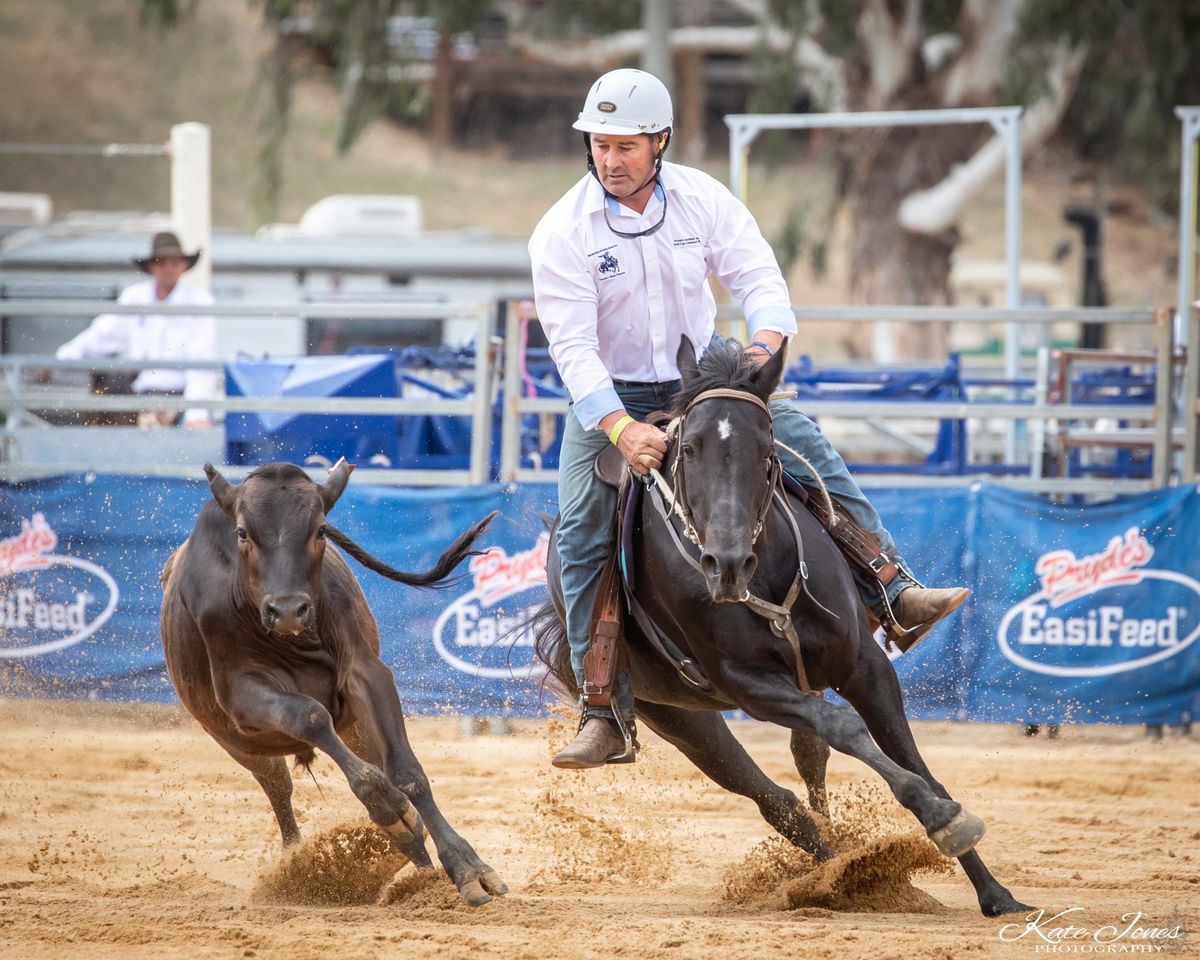 Ariat Warwick Rodeo & Pryde\u2019s EasiFeed Warwick Gold Cup Campdraft