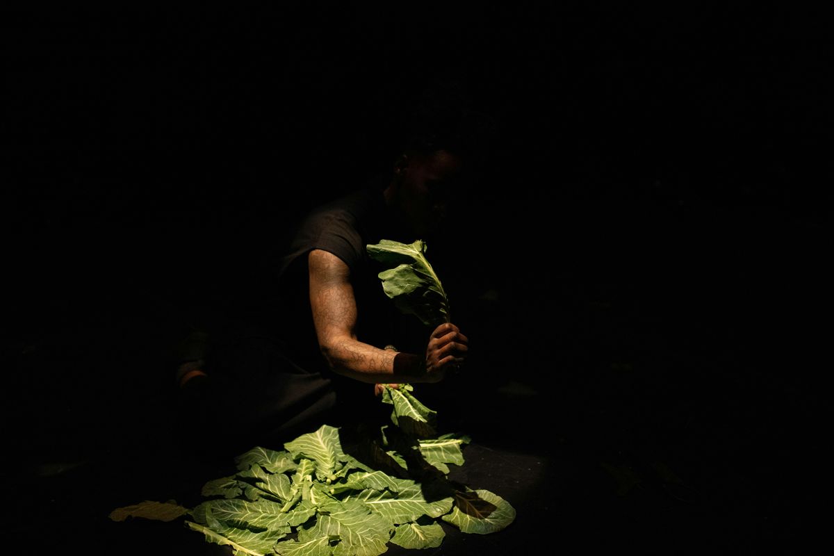 Special Performance: Transtraterrestrial