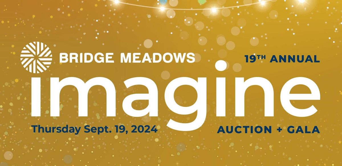 19th Annual IMAGINE Auction & Gala