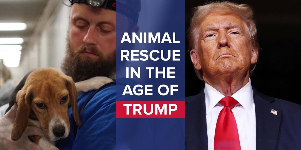 Animal Rescue in the Age of Trump | DC Summit