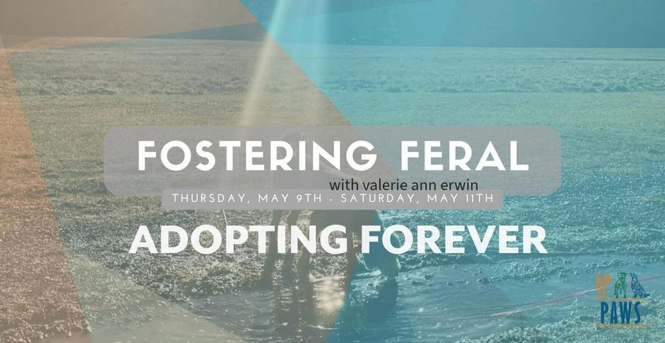 Fostering Feral