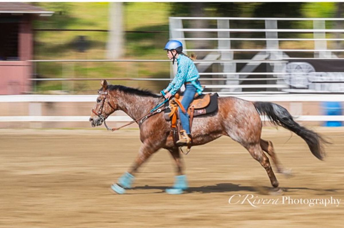 March Gymkhana 