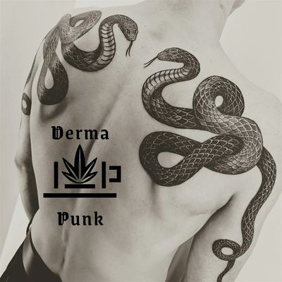 Derma Punk LLC