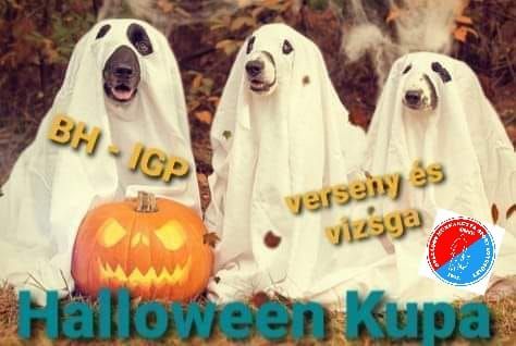 Halloween Kupa (vizsg\u00e1t ad\u00f3 verseny)