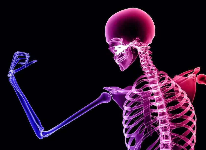 FREE Nutrition for Strong Bones