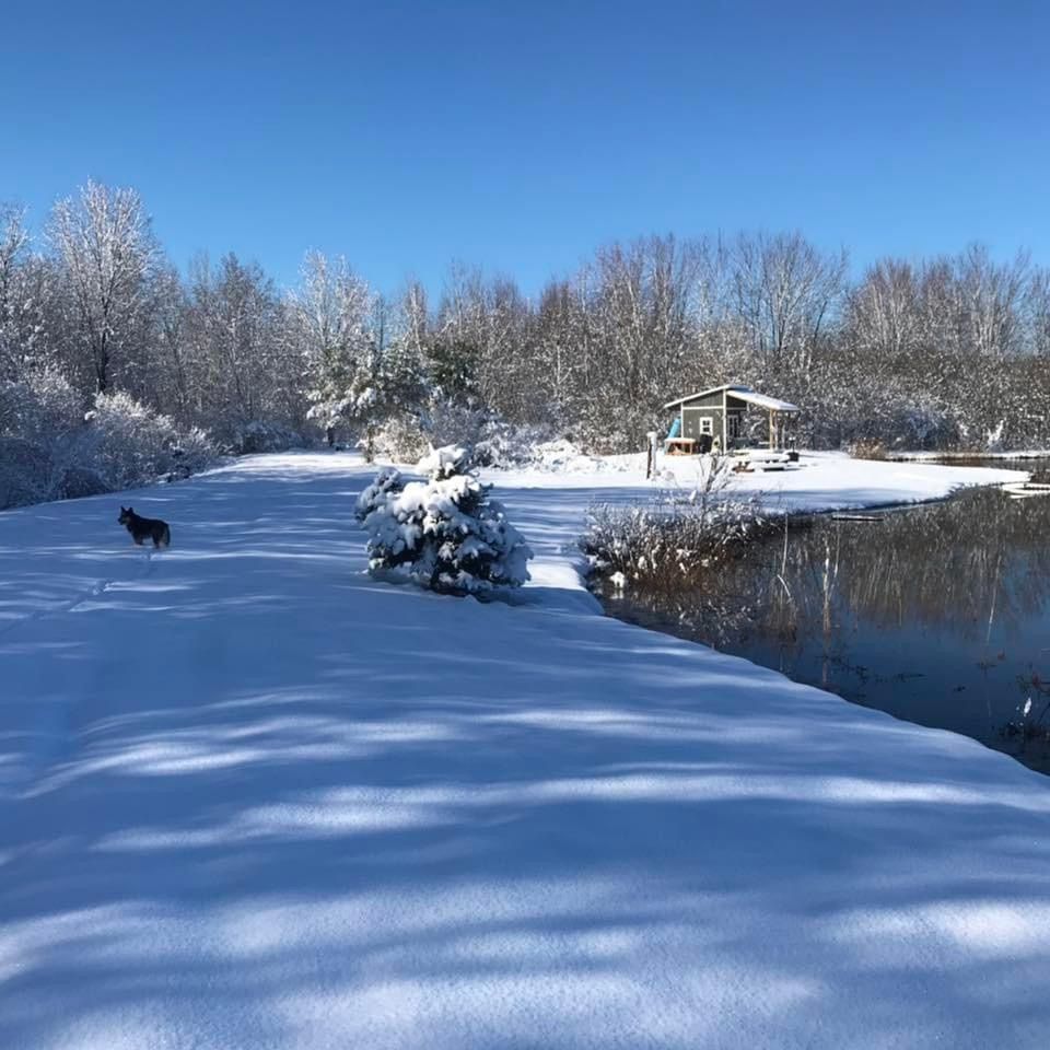 Winter Groundwork Clinic and Obstacle Course!