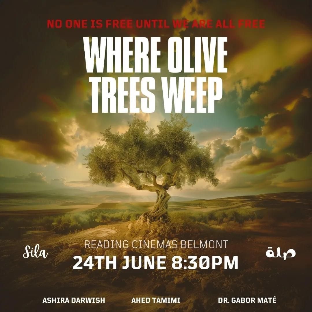 Where Olive Trees Weep ??