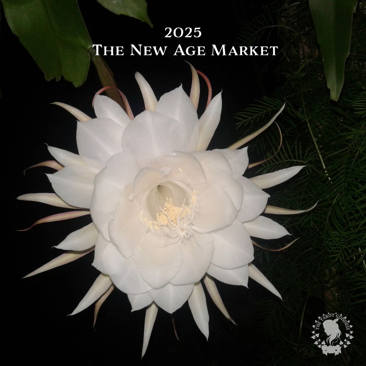 New Age Market (July 12 + 13, 2025) Boulder, CO