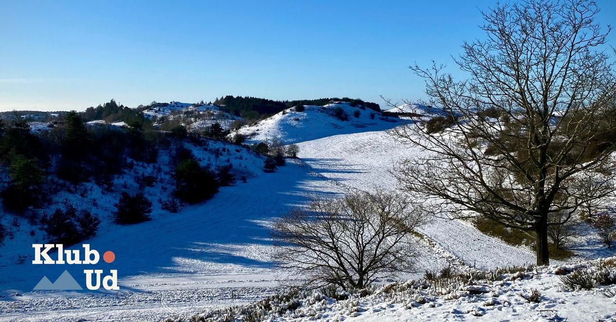 Vintertelttur i Mols Bjerge