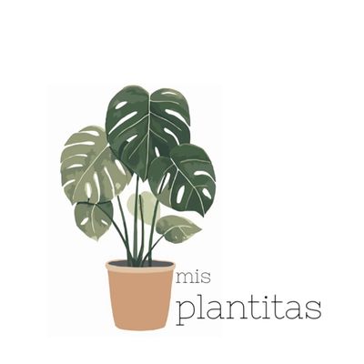 mis plantitas