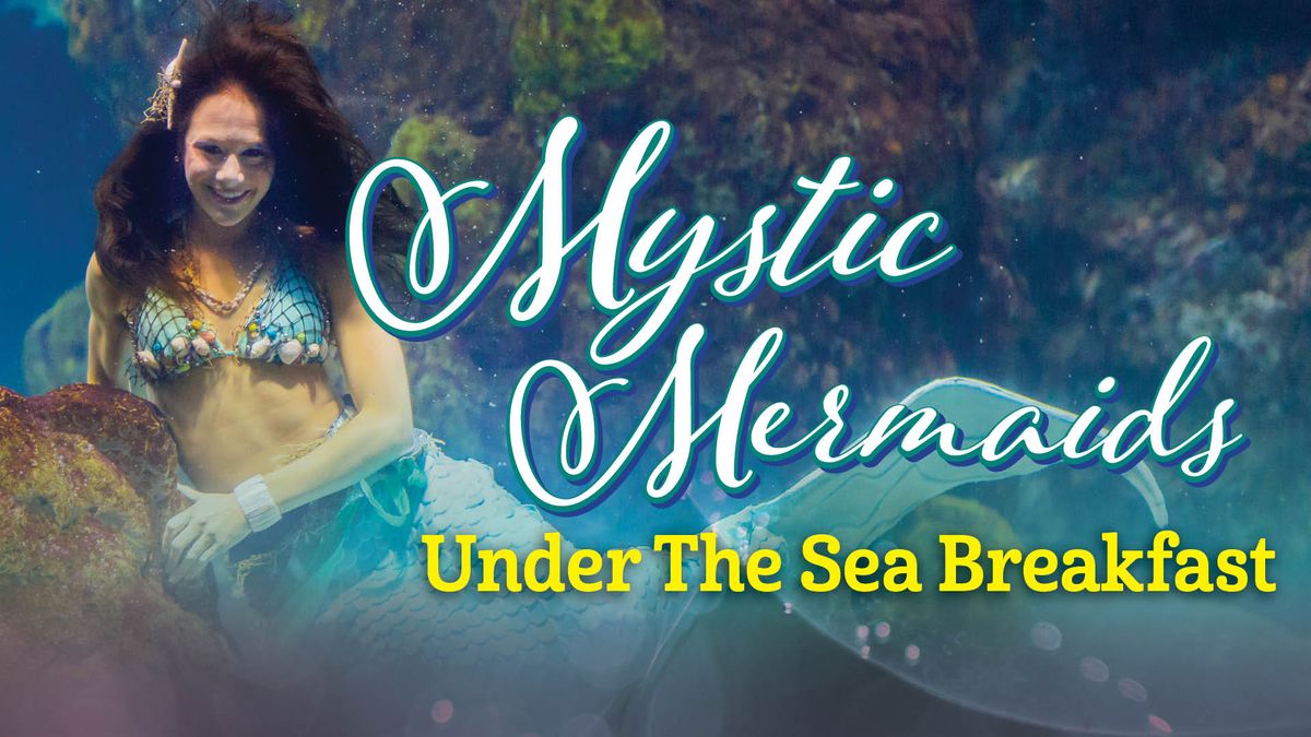 Mystic Mermaids Under the Sea Breakfast
