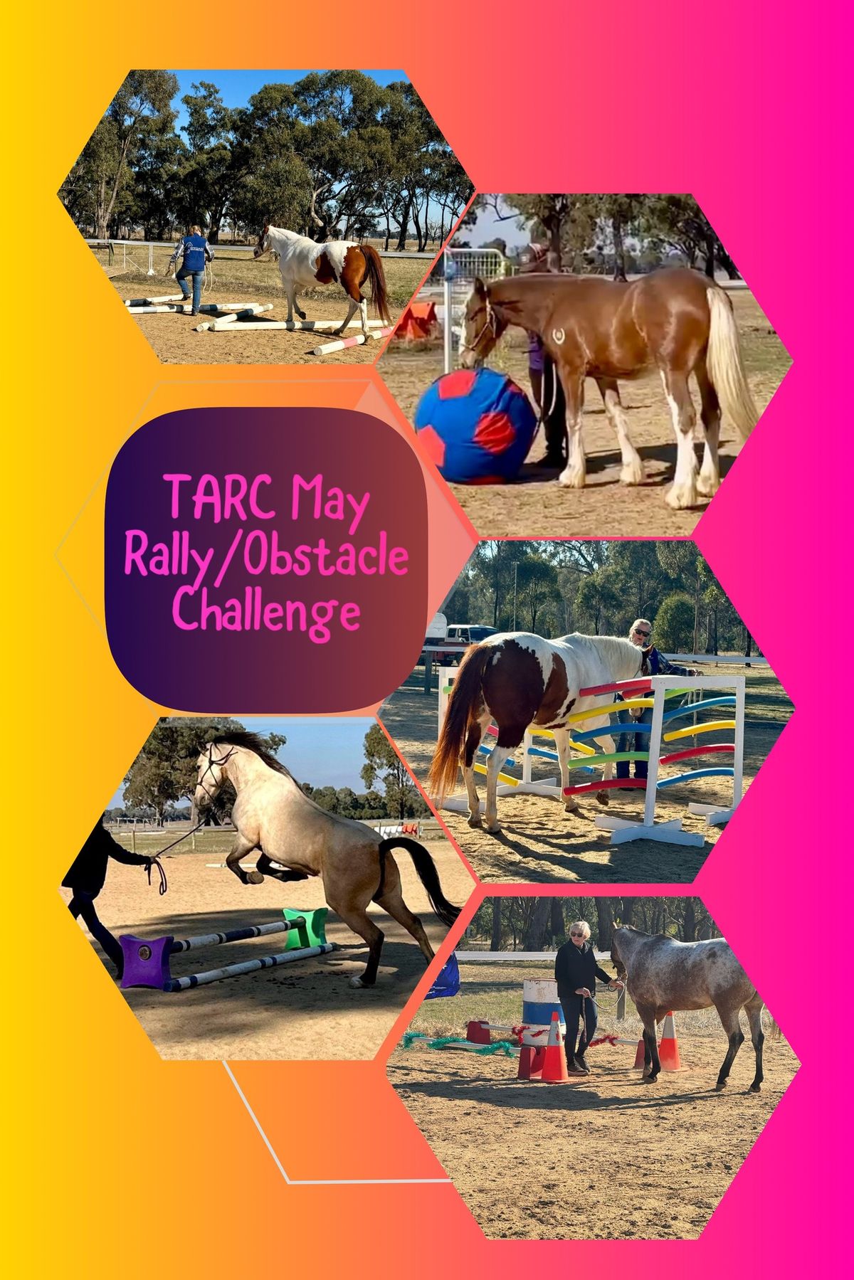 TARC May Rally\/Obstacle Challenge