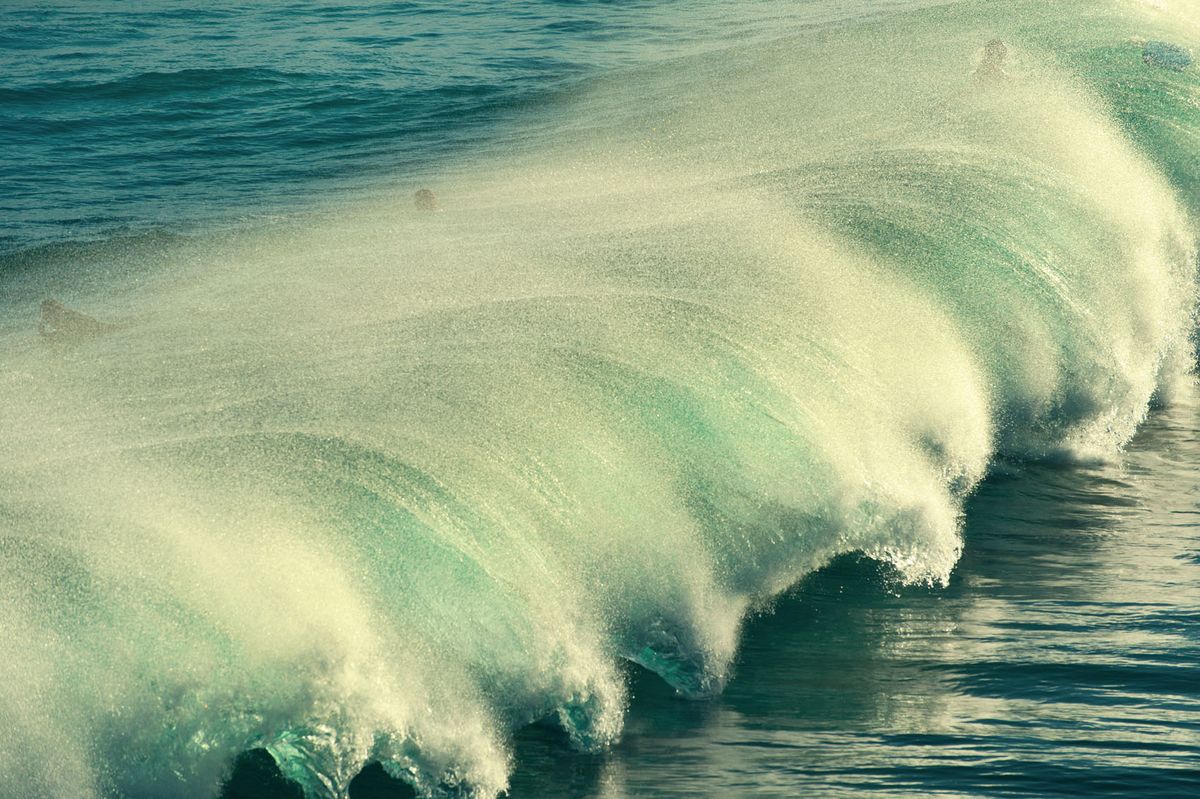 NATURE FESTIVAL: Alex Frayne on South Australian Landscapes