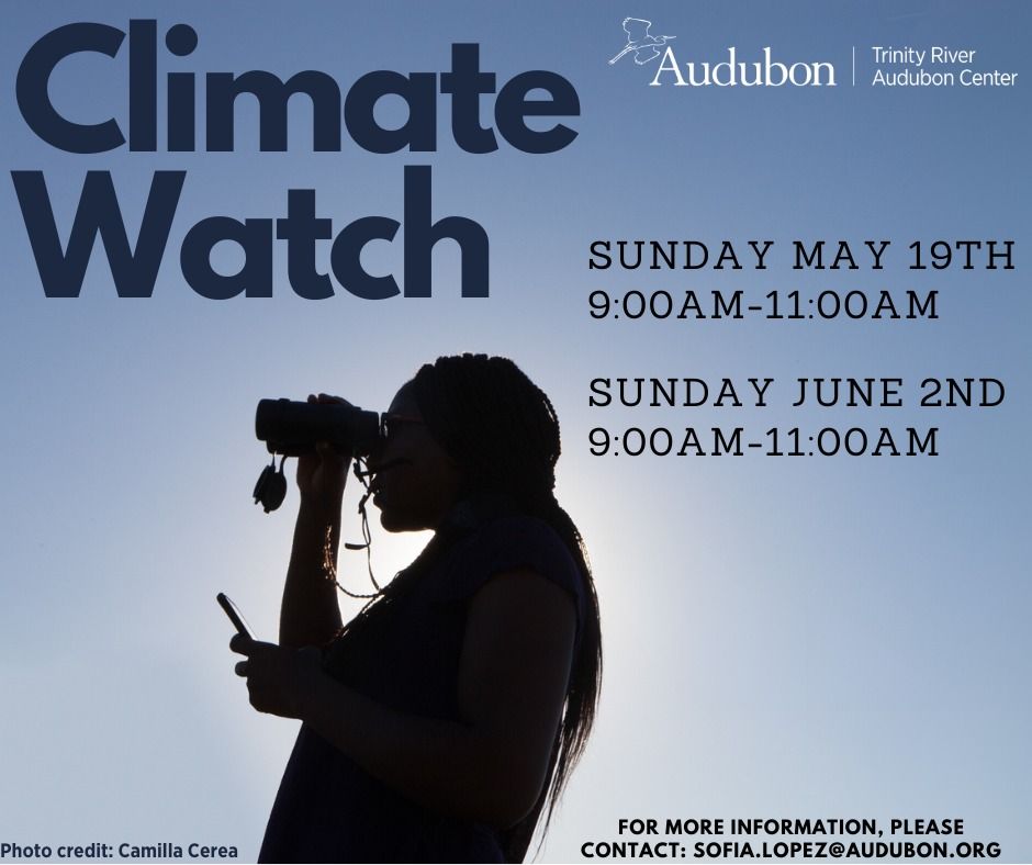 Climate Watch