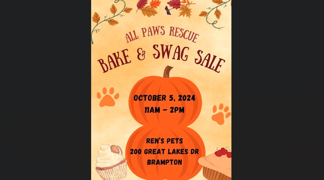 Bake & Swag sale + Kitten Meet & Greet