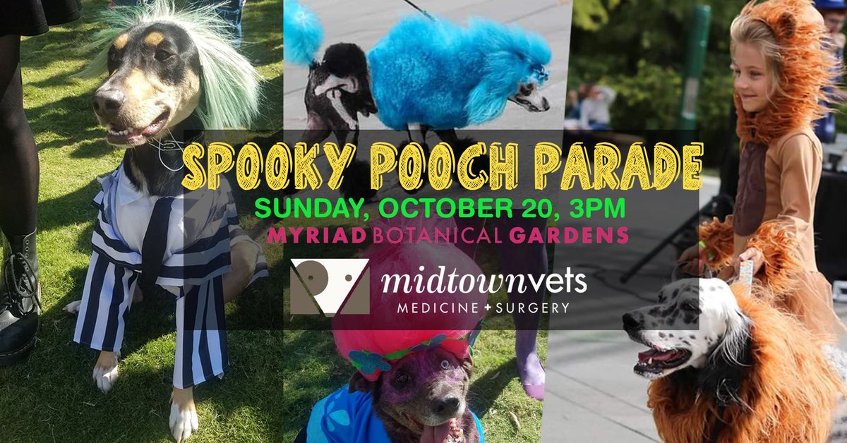 Spooky Pooch Parade sponsored by Midtown Vets