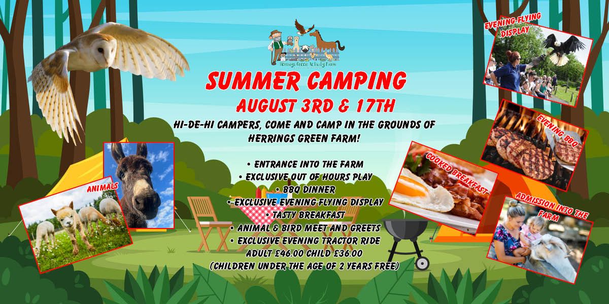 Summer Camping at Herrings Green Farm