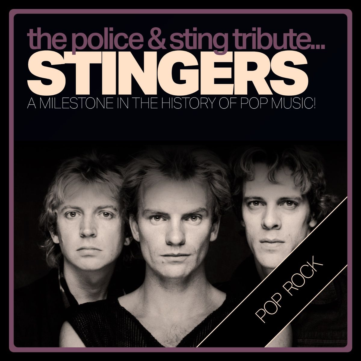 STNG & THE POLICE TRIBUTE (by Stingers)