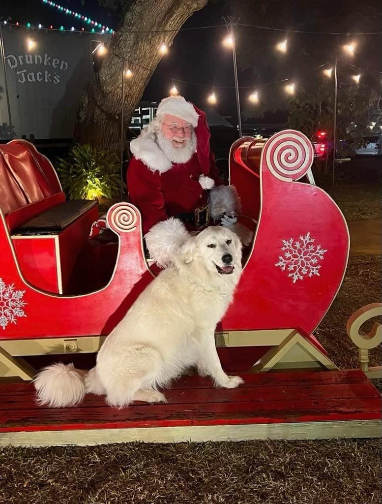 Santa Paws