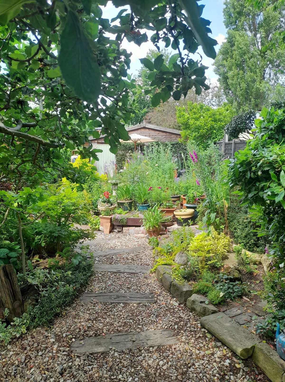 Avenues Open Gardens 2024