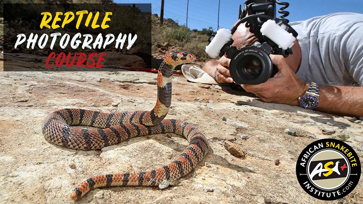 Reptile Photography Course