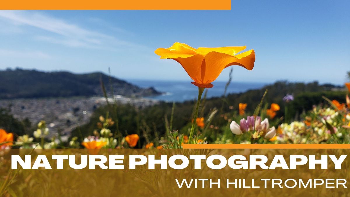 Nature Photography with Hilltromper