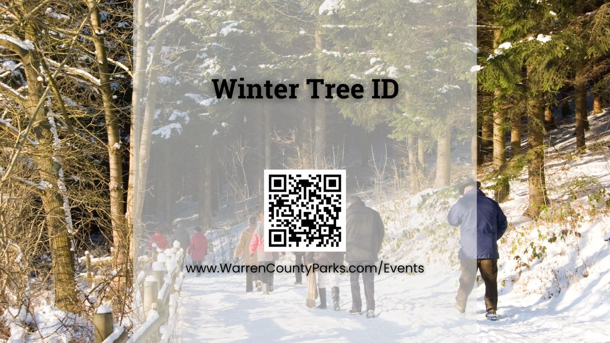 Winter Tree Identification Walk at Armco Park