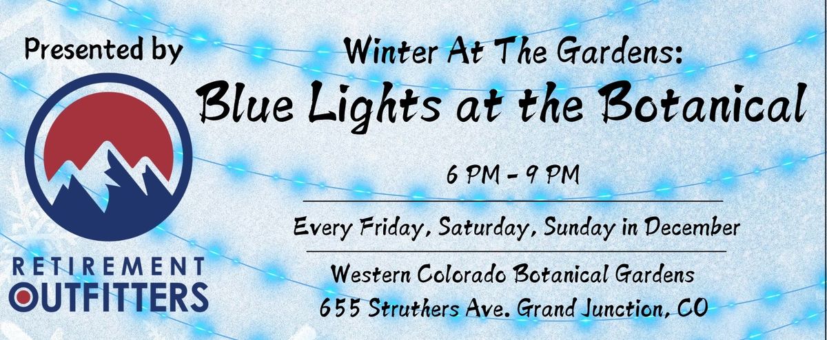 Winter at the Gardens: Blue Lights at the Botanical