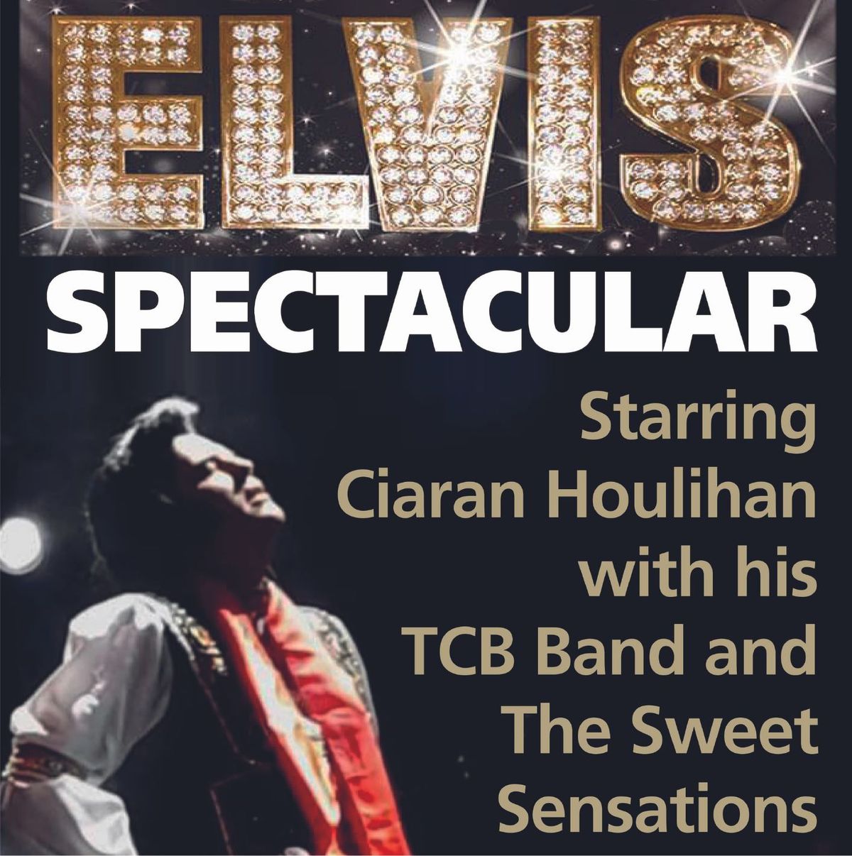 The Elvis Spectacular Show