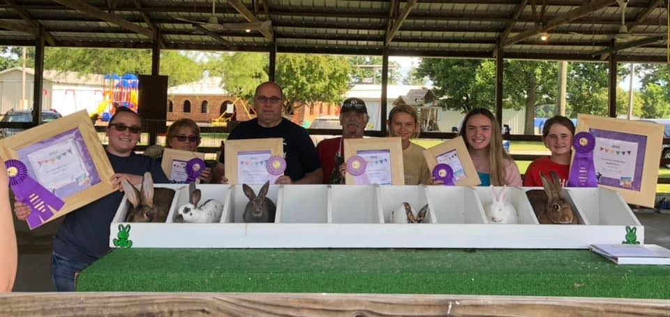 2025 Vermillion County Fair Open & Youth Rabbit Show